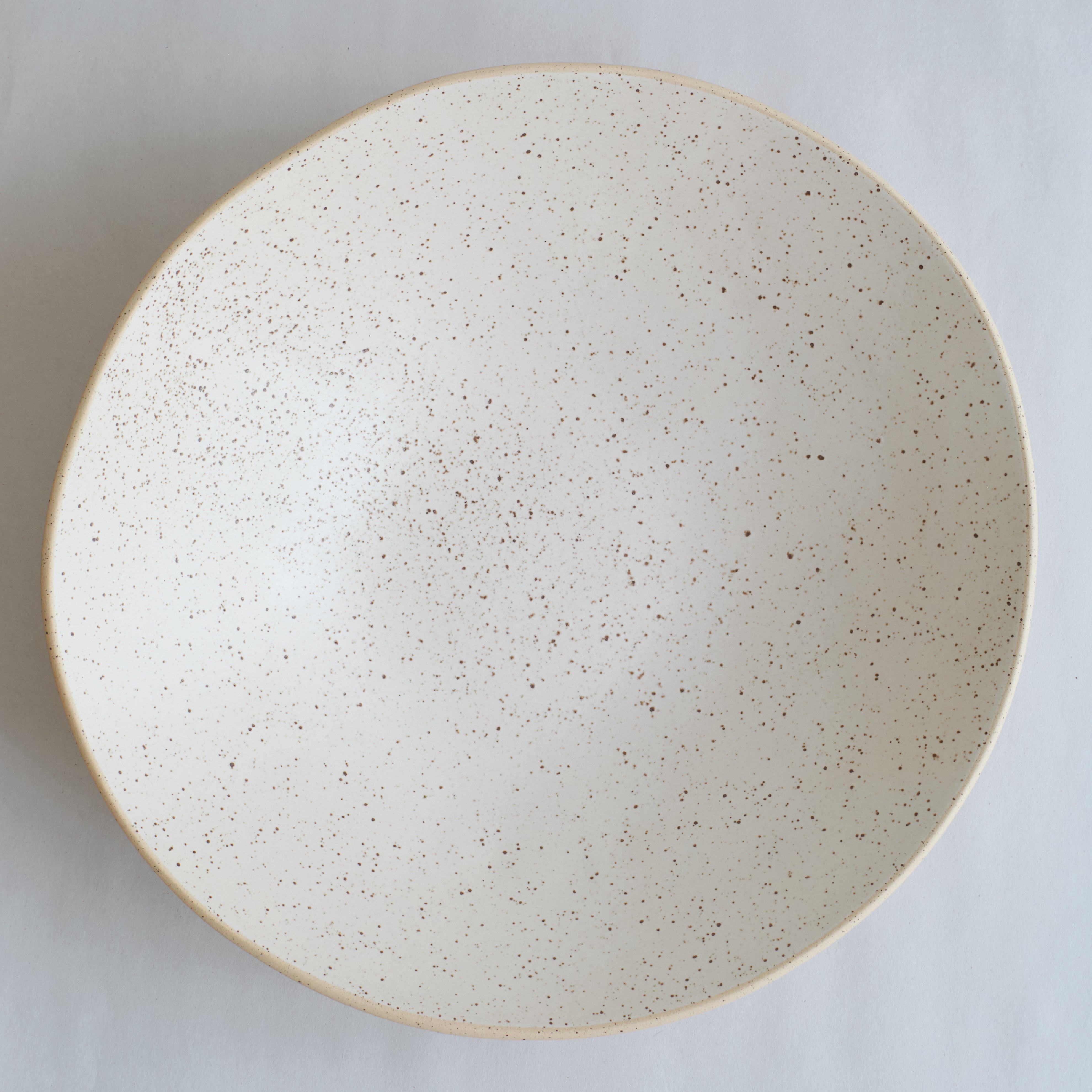Speckled off-white ceramic plate on a light gray background